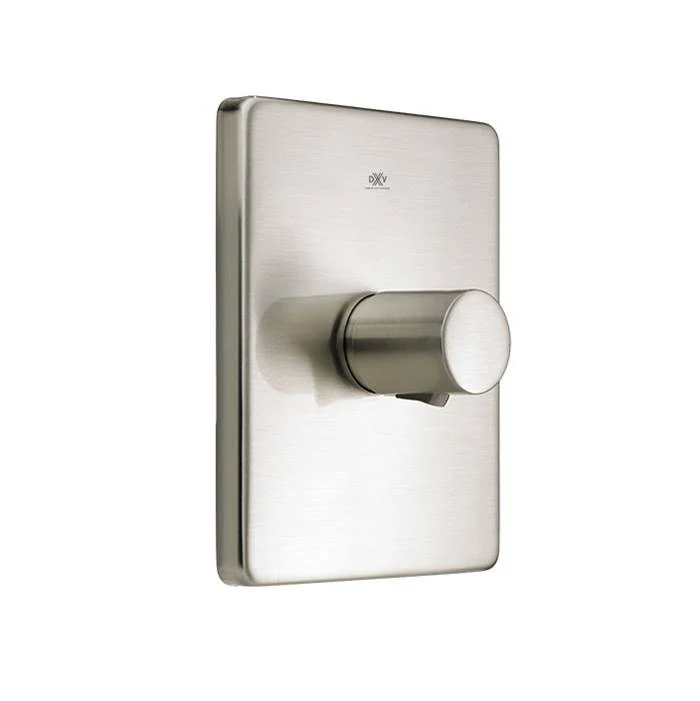 Rem Brushed Nickel 3/4" Thermo Valve Trim