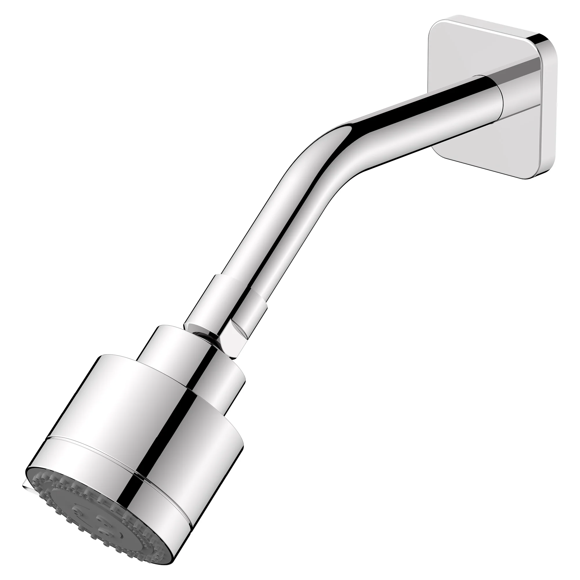 Rem Showerhead With Arm & Flange